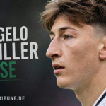 angelo stiller nase